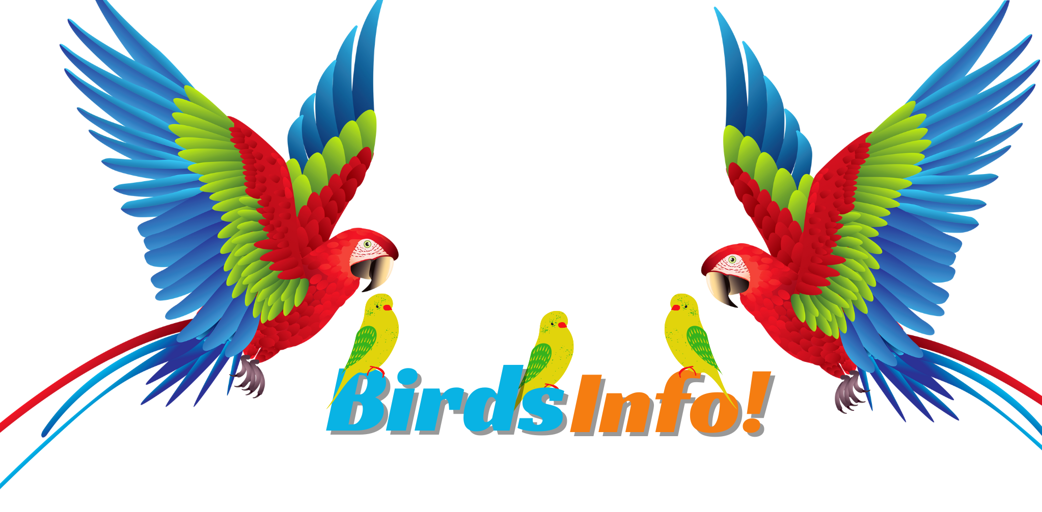 Birds Info