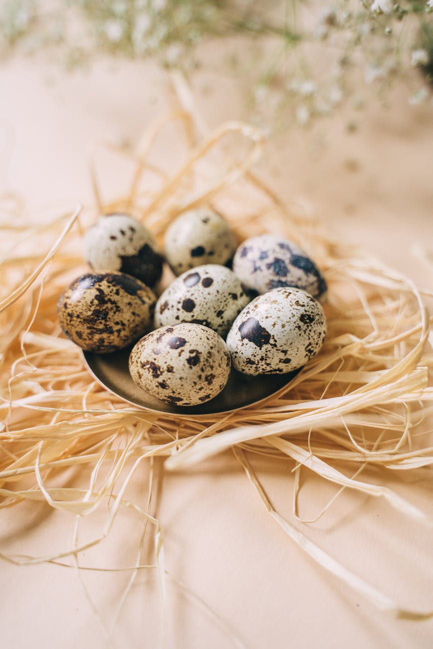 Read more about the article Health Benefits of Eating Quail Eggs